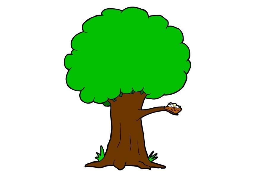 albero immagine albero