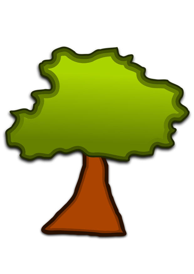 albero immagine albero