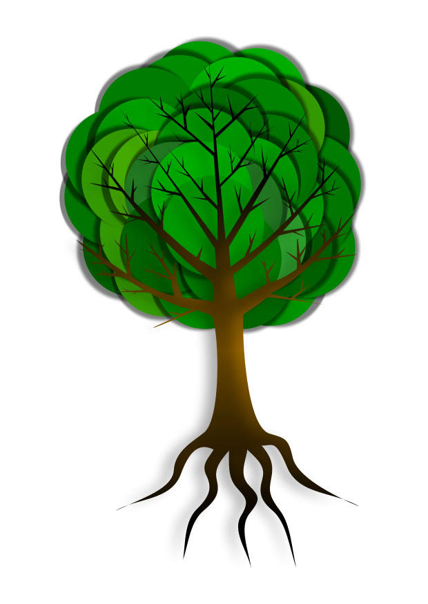 albero immagine albero