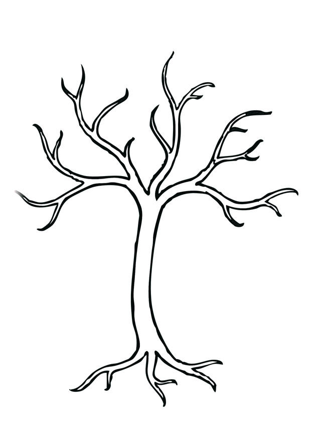 albero Disegno da colorare albero