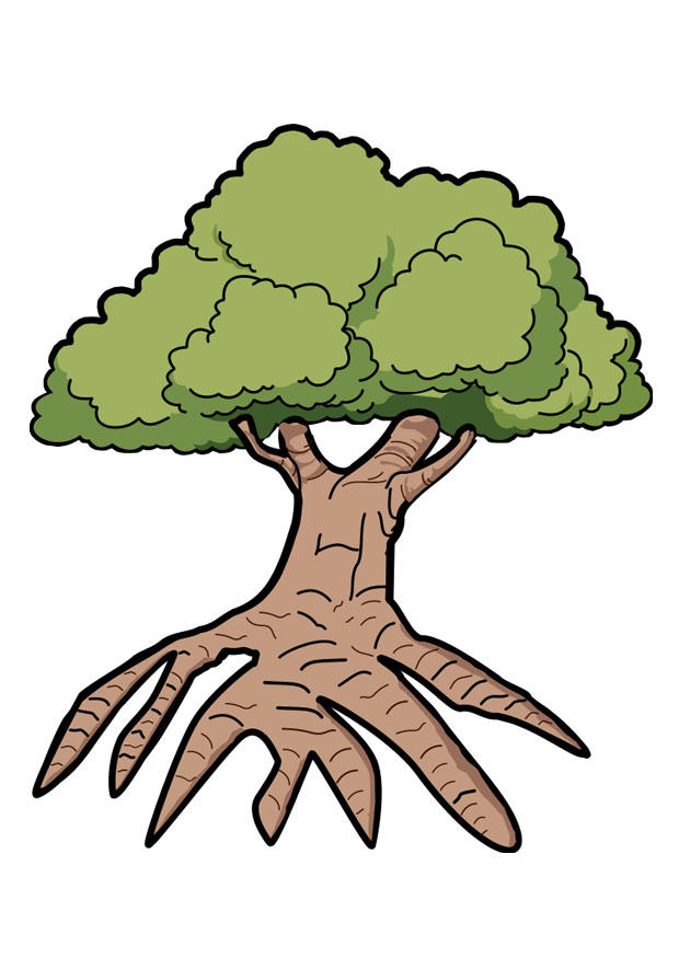 albero immagine albero