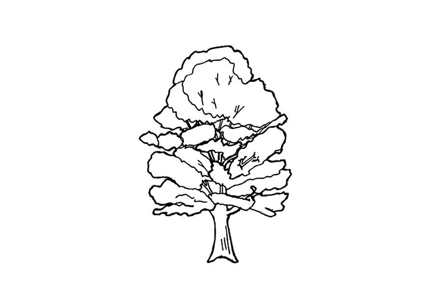 albero Disegno da colorare albero