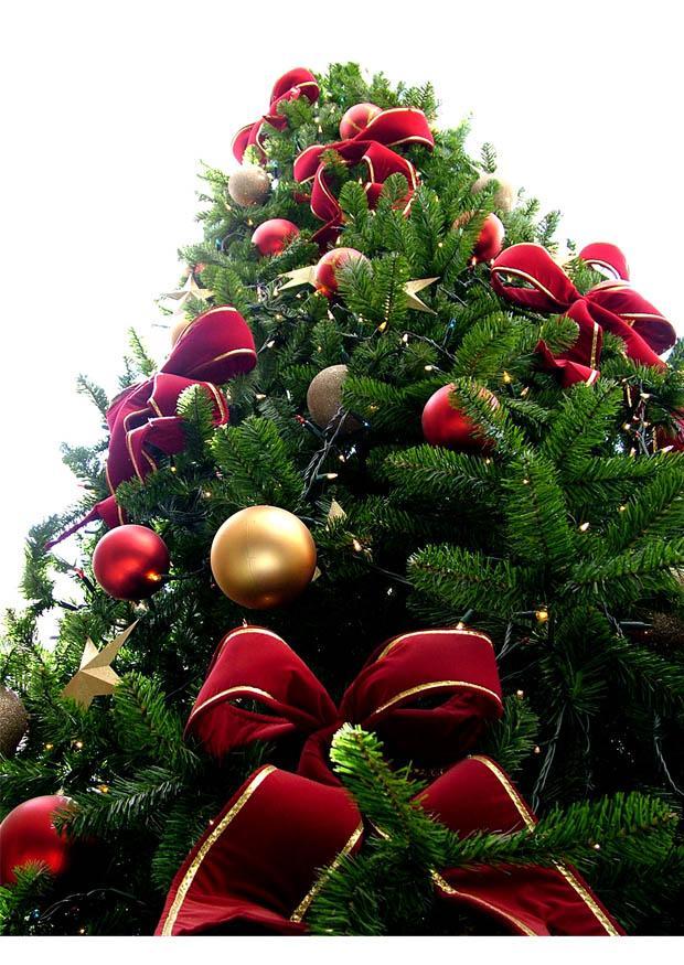 Foto albero di natale