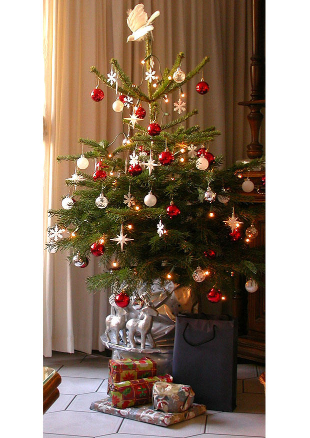 albero di natale Foto albero di natale