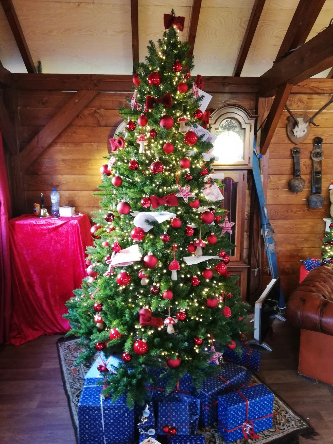 albero di natale Foto albero di natale