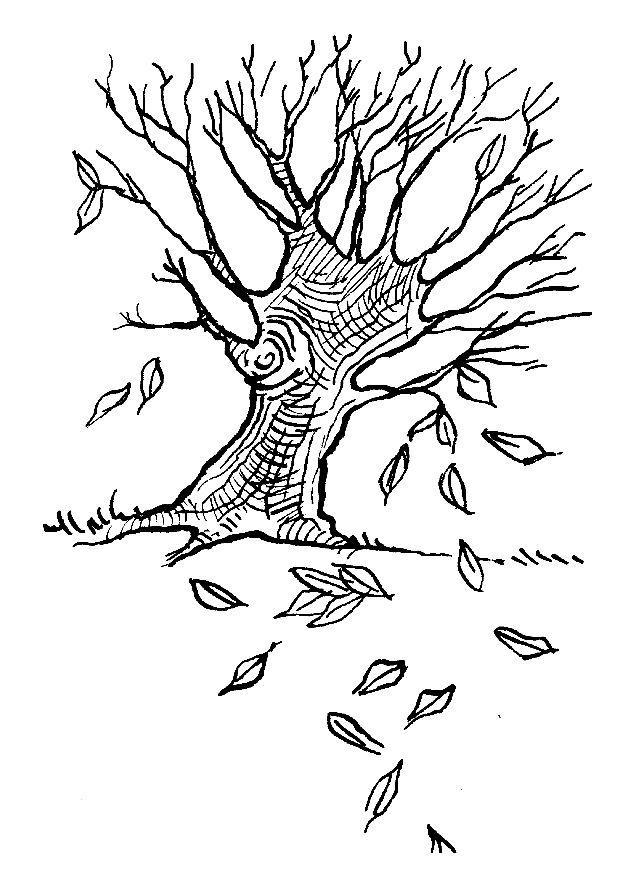 Disegno da colorare albero - foglie dautunno