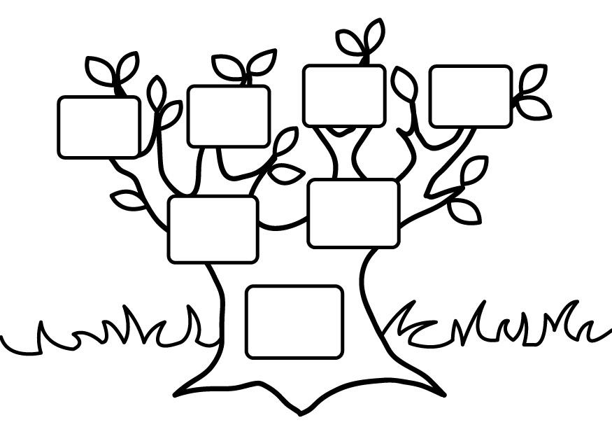 albero genealogico vuoto Disegno da colorare albero genealogico vuoto