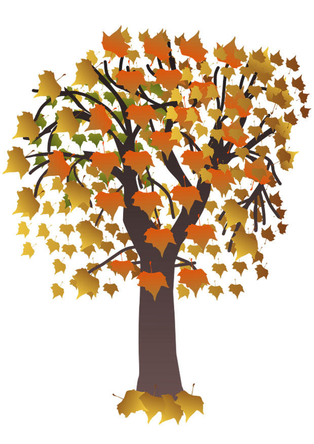 albero in autunno immagine albero in autunno