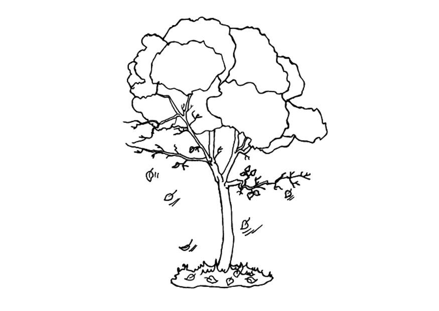 albero in autunno Disegno da colorare albero in autunno