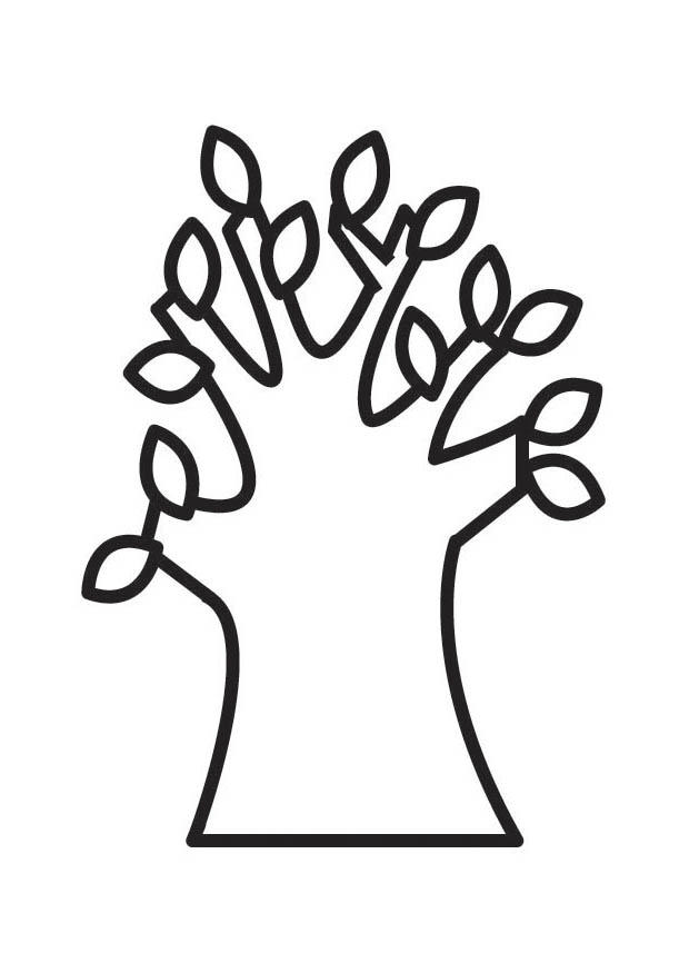 albero in primavera Disegno da colorare albero in primavera