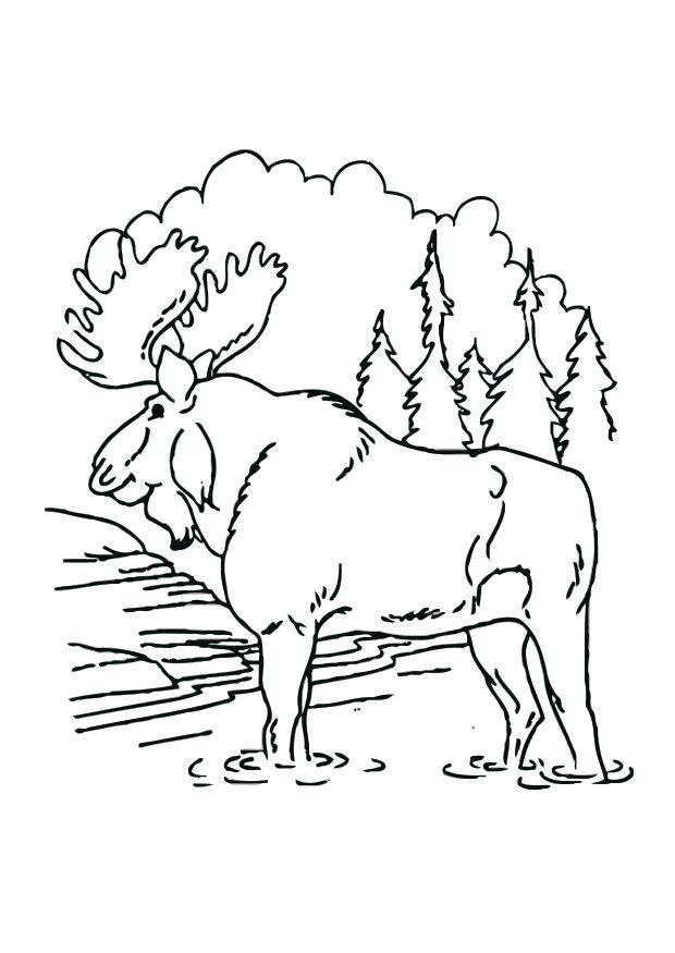 alce Disegno da colorare alce