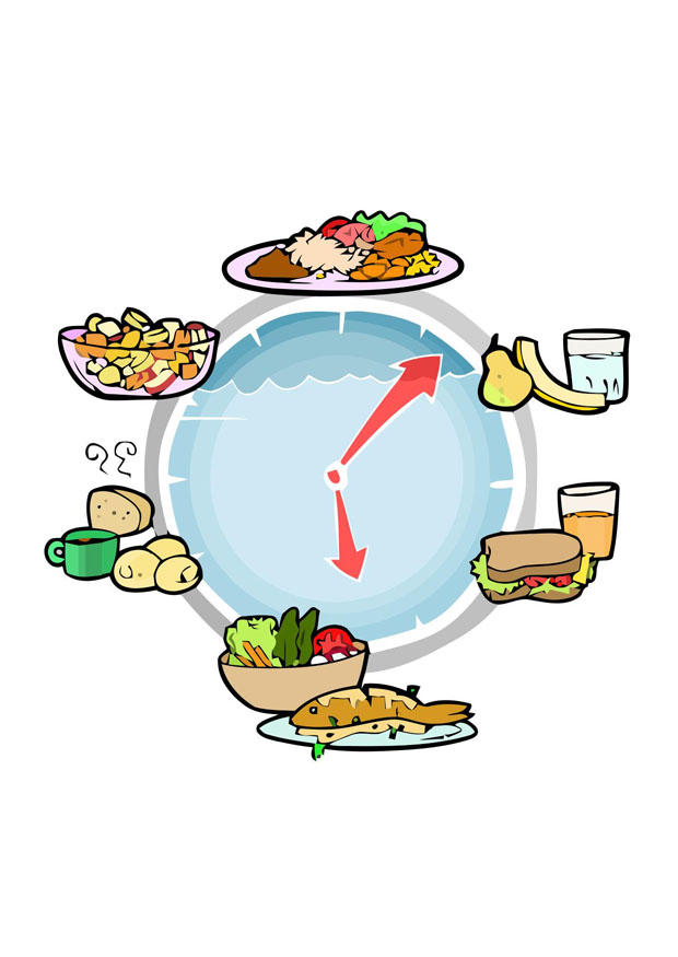 alimentazione durante la giornata immagine alimentazione durante la giornata