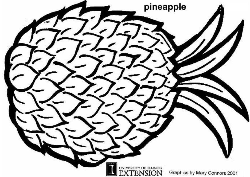 ananas Disegno da colorare ananas
