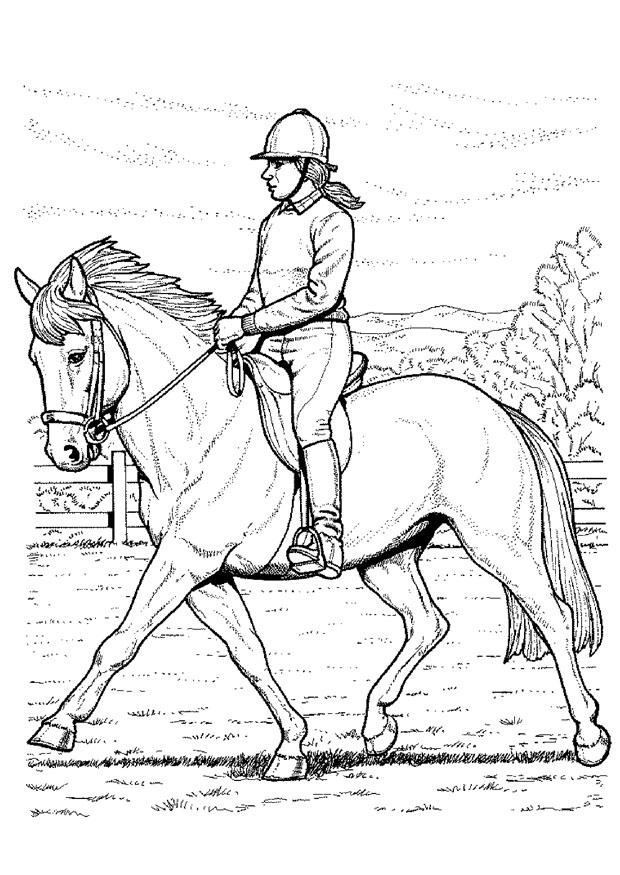 andare a cavallo Disegno da colorare andare a cavallo