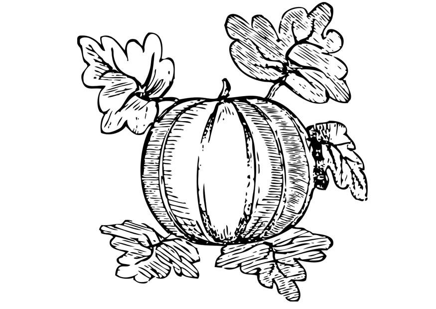 anguria Disegno da colorare anguria