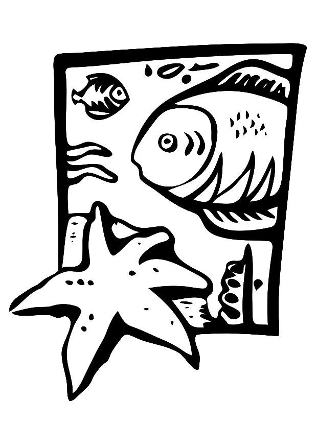 animali marini Disegno da colorare animali marini