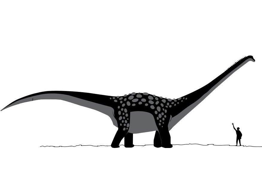 antarctosauro Disegno da colorare antarctosauro