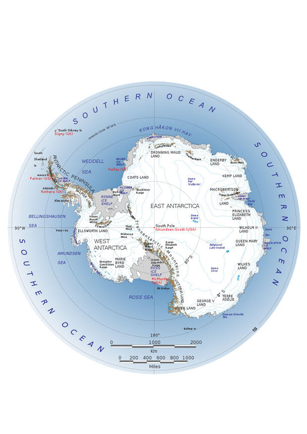 antartico immagine antartico