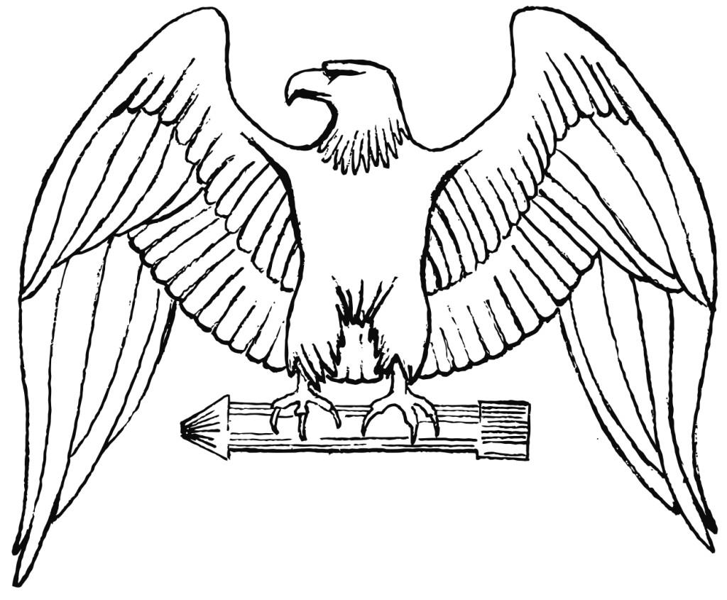 aquila Disegno da colorare aquila