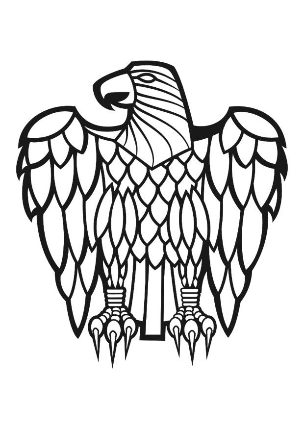 aquila Disegno da colorare aquila