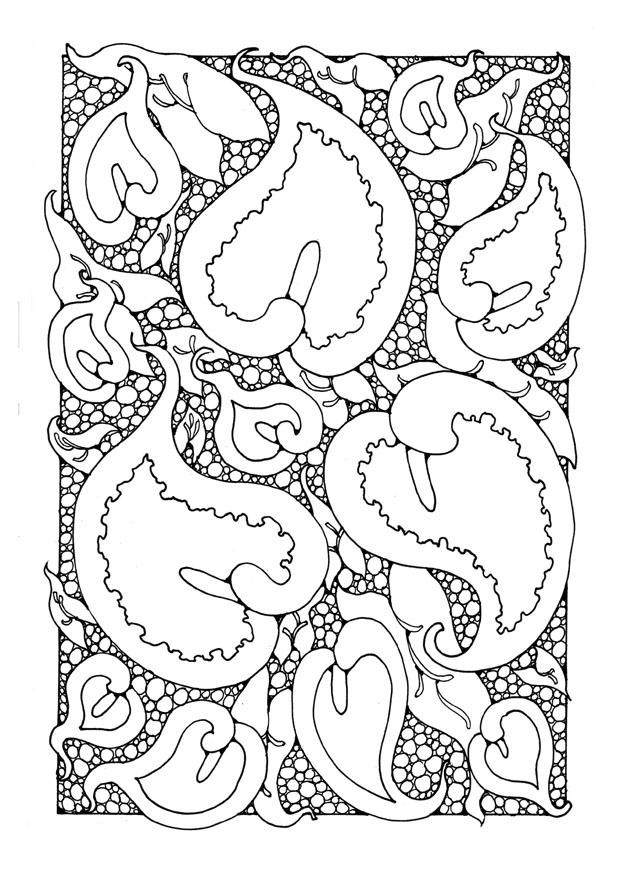 Disegno da colorare aracea