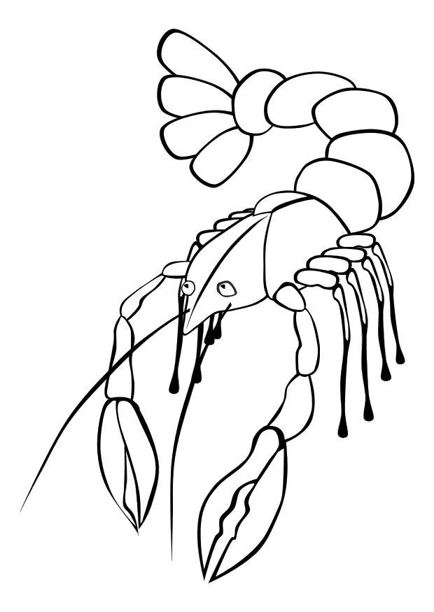 aragosta Disegno da colorare aragosta