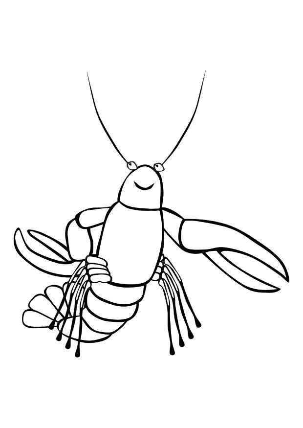 aragosta Disegno da colorare aragosta