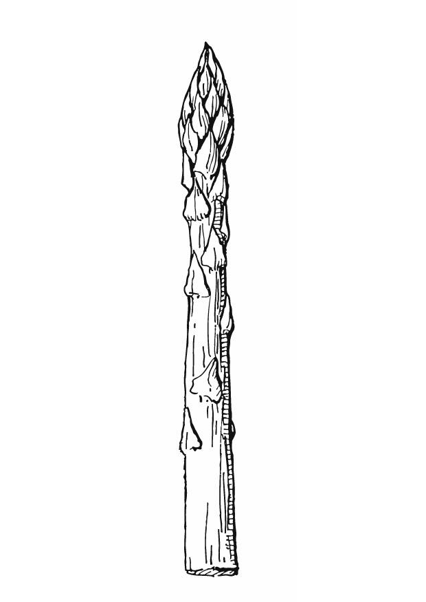 asparago Disegno da colorare asparago