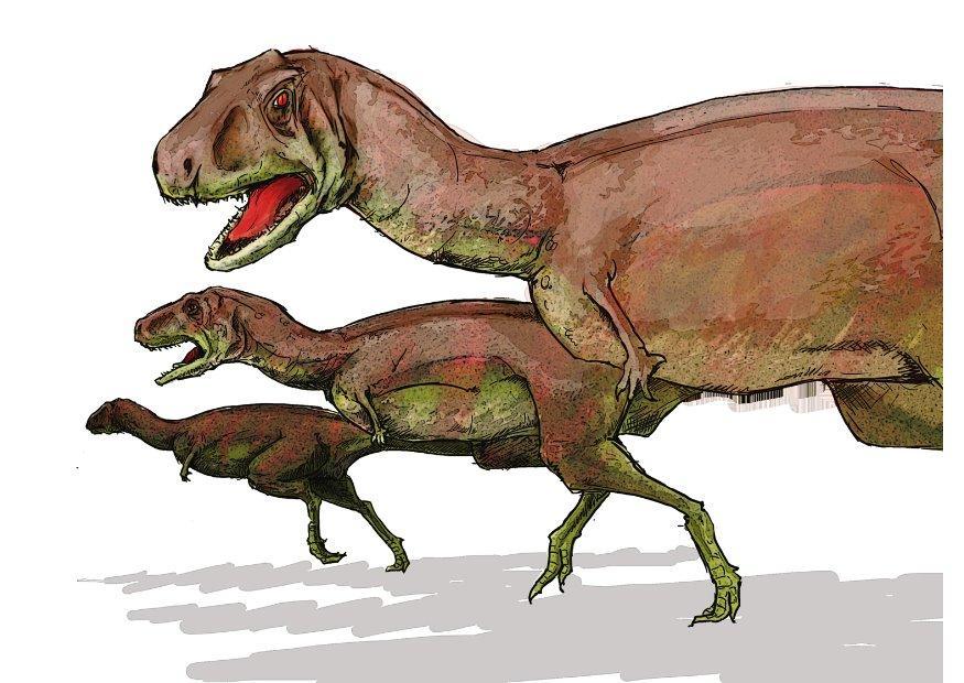 aucasauro immagine aucasauro