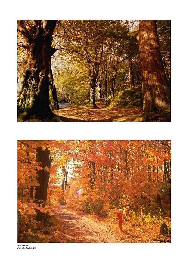 autunno 3 Foto autunno 3