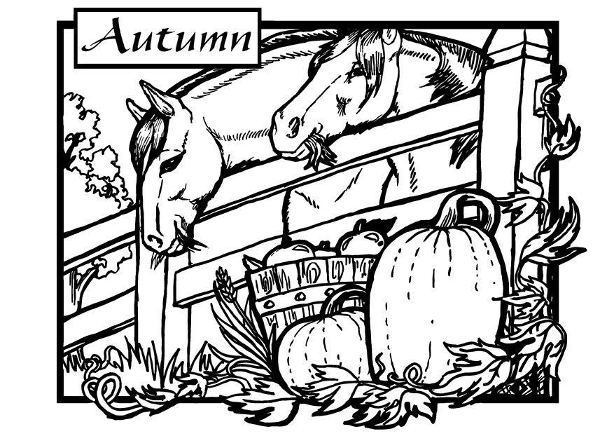 autunno - cavalli Disegno da colorare autunno - cavalli