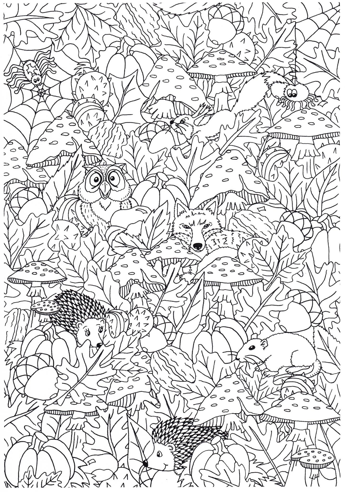 autunno nella foresta Disegno da colorare autunno nella foresta