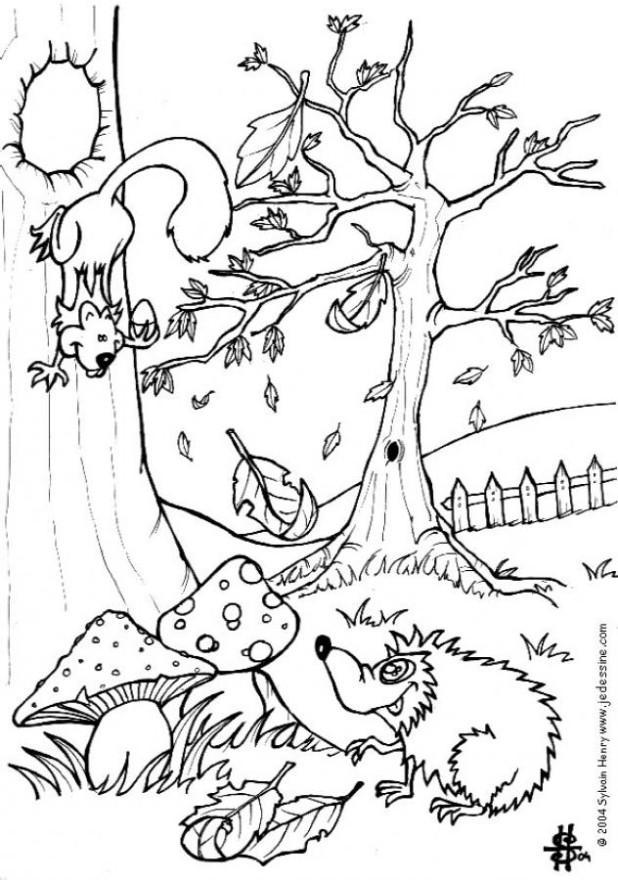 autunno - riccio e scoiattolo Disegno da colorare autunno - riccio e scoiattolo