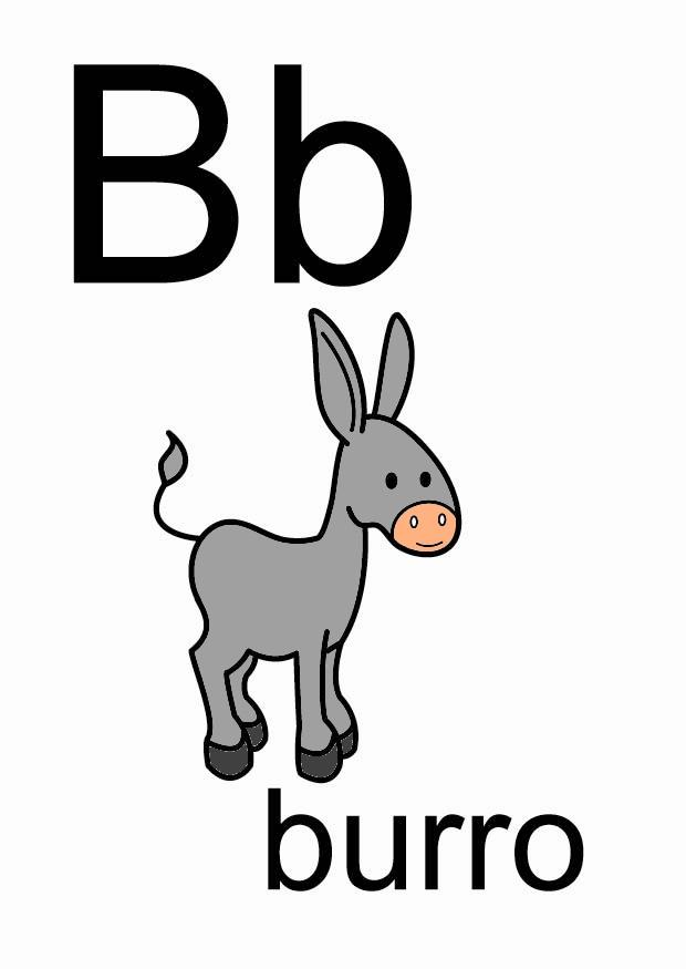 b immagine b