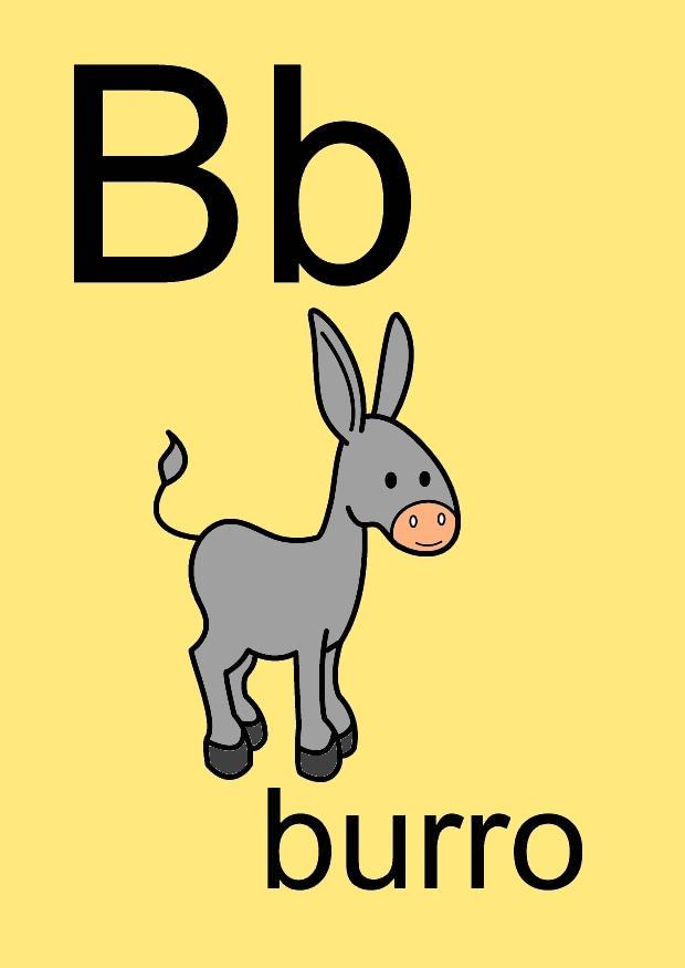 b immagine b