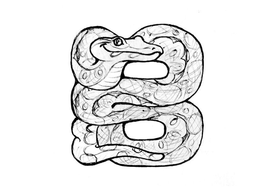 b-boa Disegno da colorare b-boa