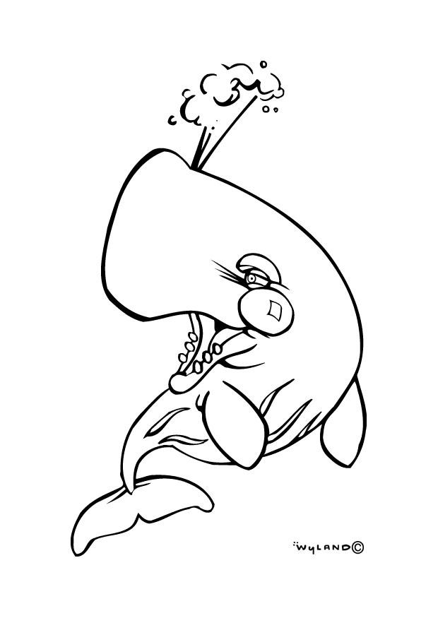 balena Disegno da colorare balena