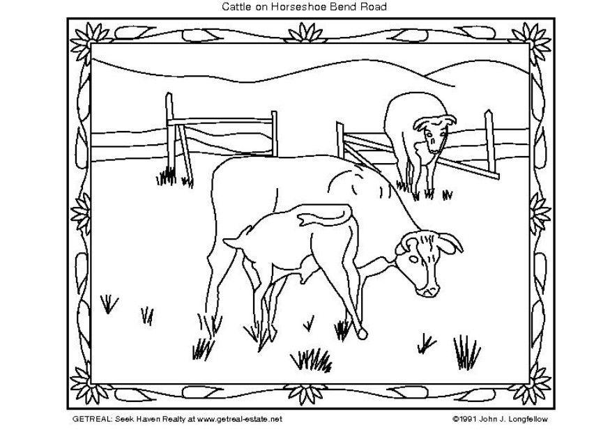 bestiame americano Disegno da colorare bestiame americano