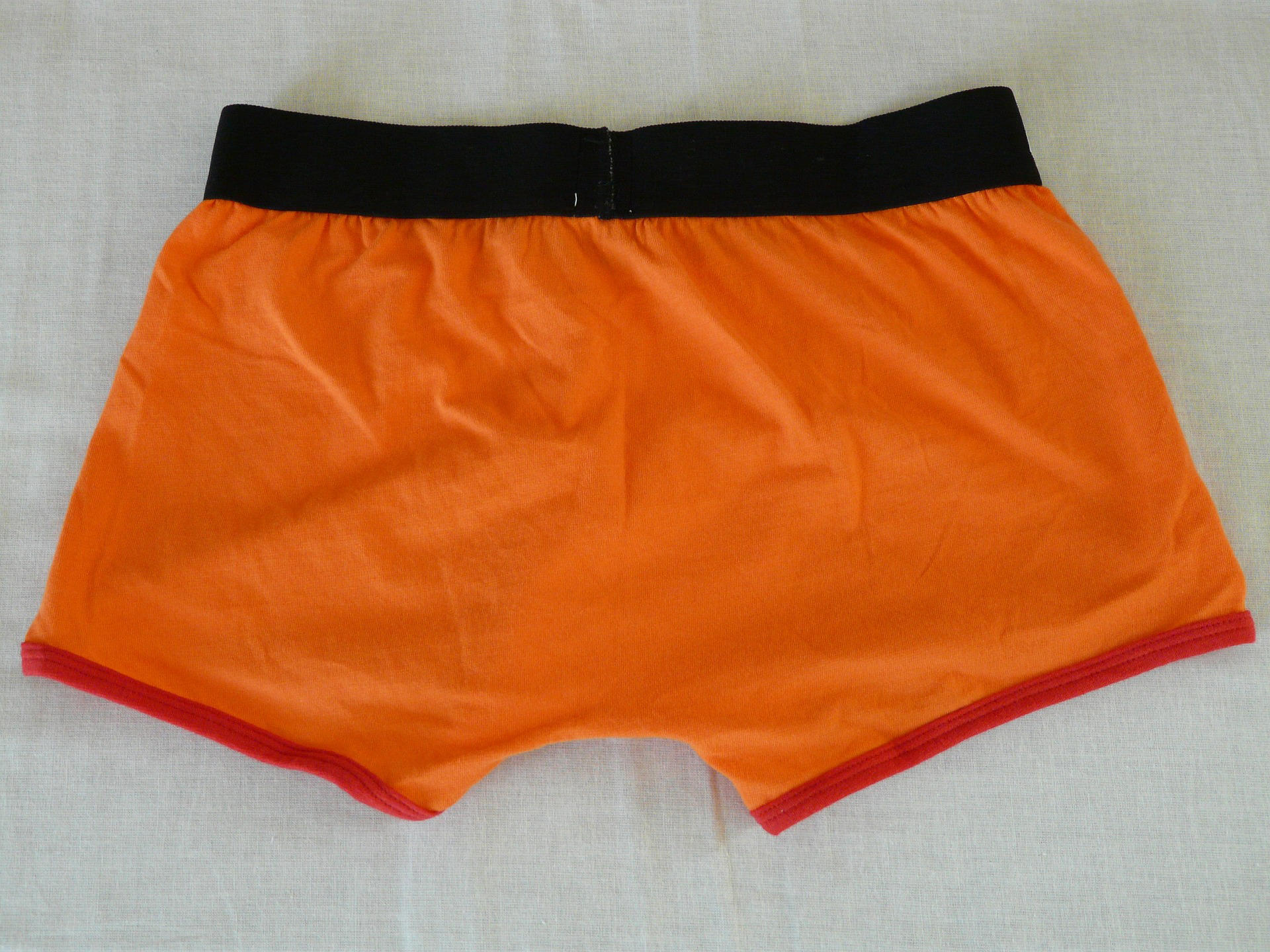 boxer Foto boxer