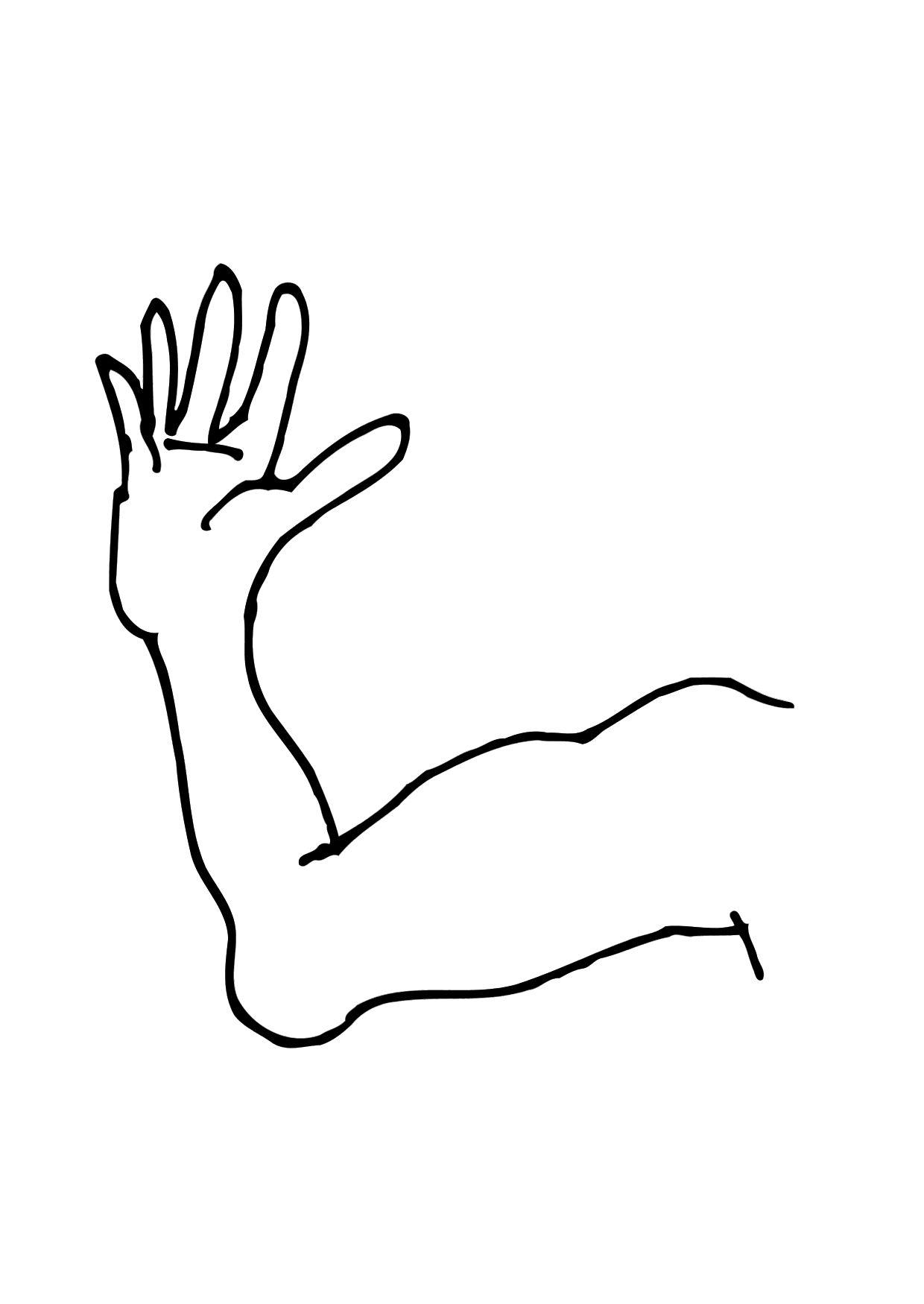 braccio Disegno da colorare braccio