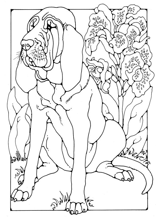 bracco Disegno da colorare bracco