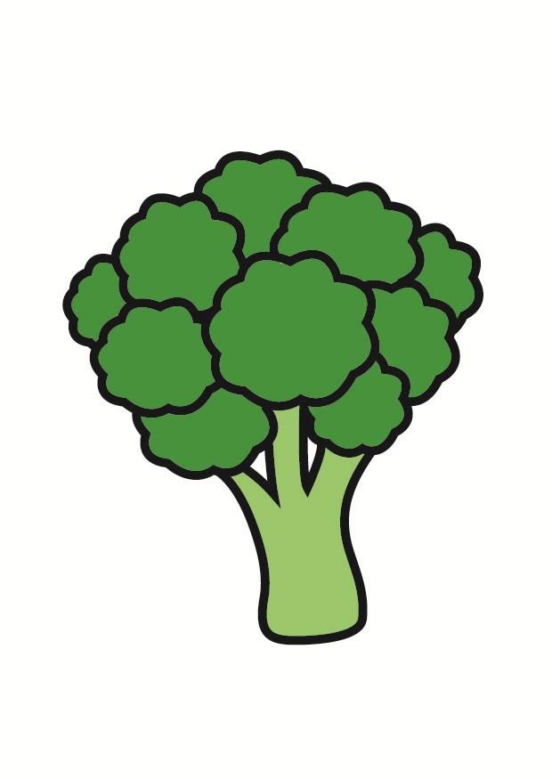 broccoli immagine broccoli