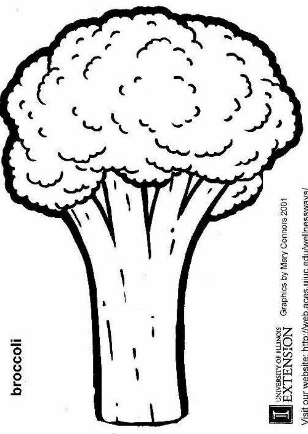 broccoli Disegno da colorare broccoli