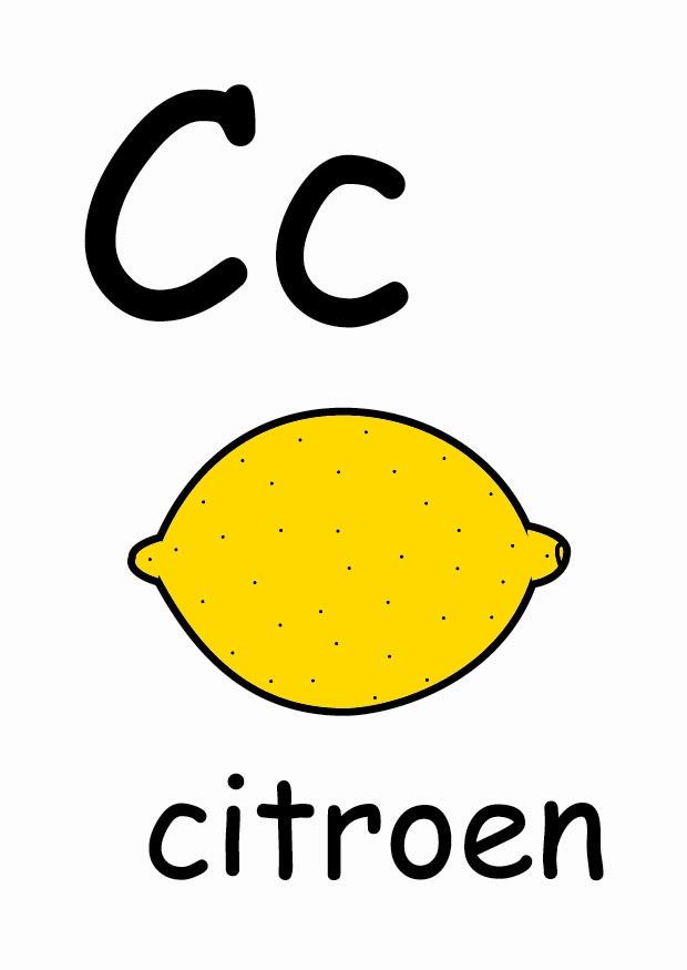 c immagine c