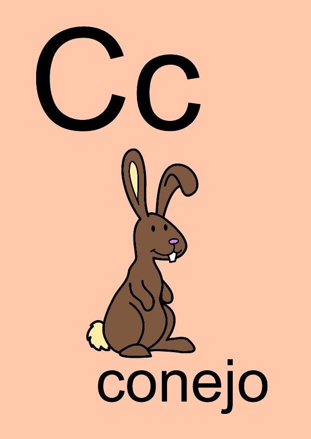 c immagine c