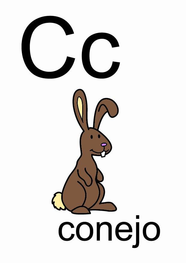 c immagine c