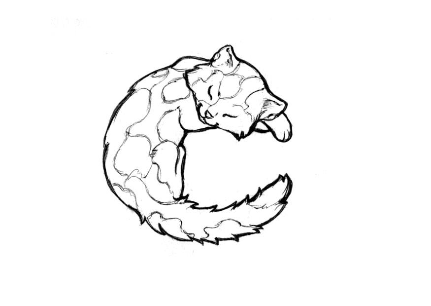 c-cat Disegno da colorare c-cat