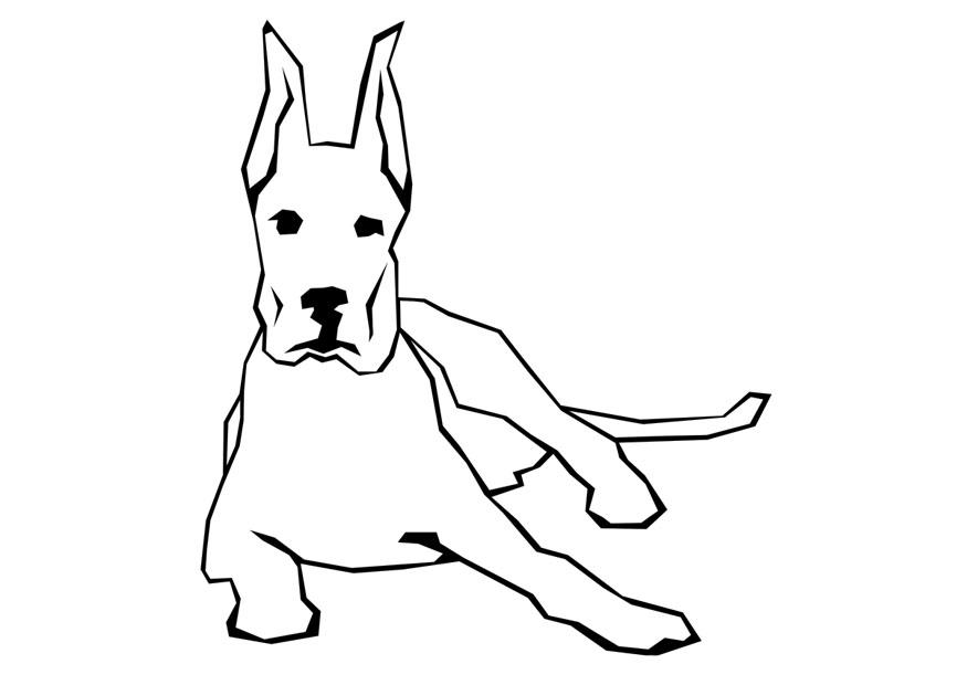 cane Disegno da colorare cane