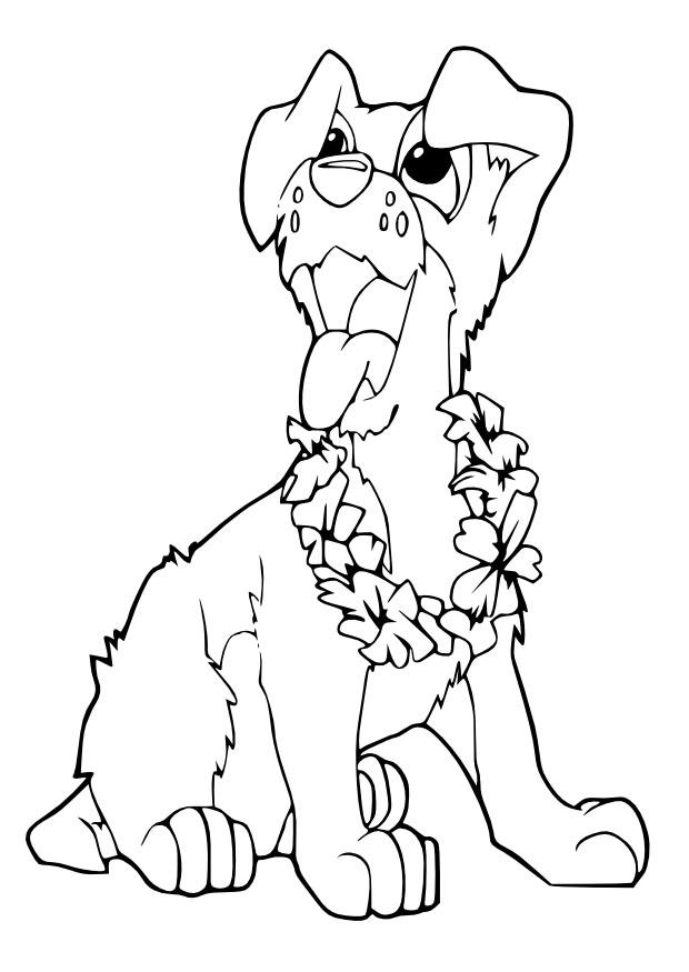 cane Disegno da colorare cane