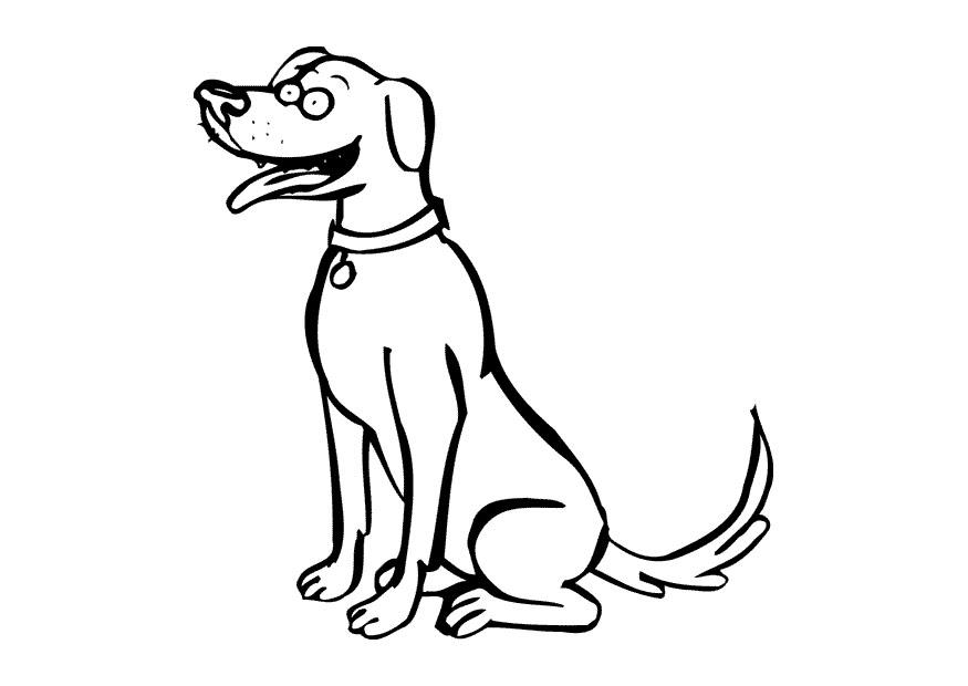 cane Disegno da colorare cane